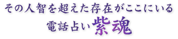 その人智を超えた存在がここにいる。電話占い紫魂